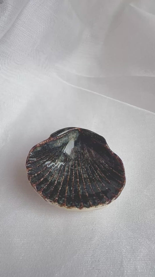 SHORE THING FOR RINGS | Seashell Ring Holder Cosmic Sparkle
