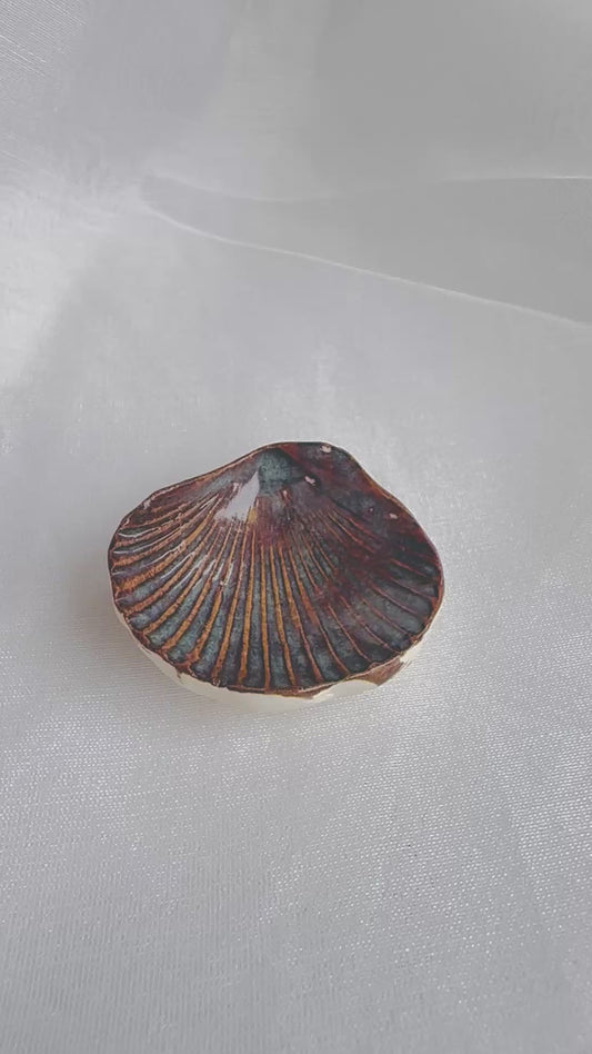 SHORE THING FOR RINGS | Seashell Ring Holder Charred Denim
