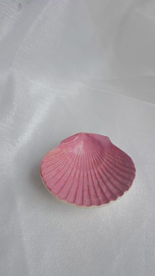 SHORE THING FOR RINGS | Seashell Ring Holder Blush
